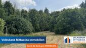 Grundstück - 5260m² Großes Grundstück - bebaut mit Scheune und Werkstatt - Wald und Wiese!