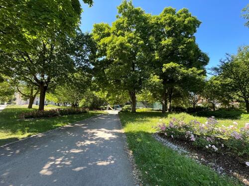 Parkanlage mit Spielplatz - 3 Zimmer Etagenwohnung in Chemnitz