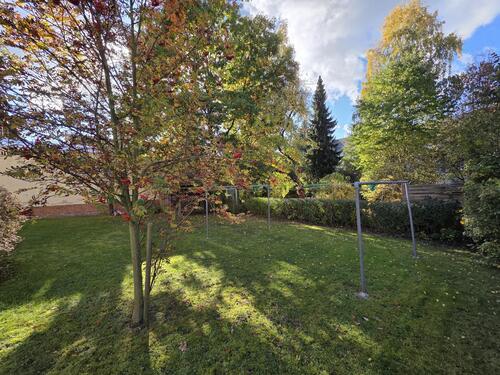 Gemeinschaftsgarten - 