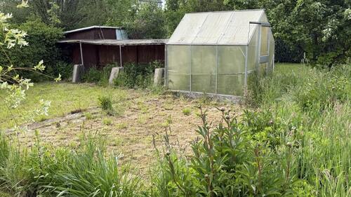 Garten mit Gewächshaus - 