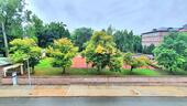 Ausblick Wohnzimmer - Erdgeschoßwohnung mit 70,60 m² in Chemnitz zur Miete