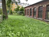 Gartenfläche - 