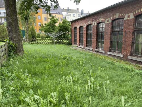 Gartenfläche - 
