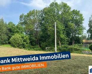 Großzügiges Grundstück mit viel Potential! - Hainichen