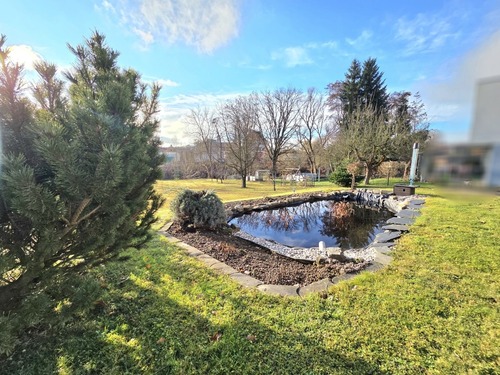 Gartenteich - 