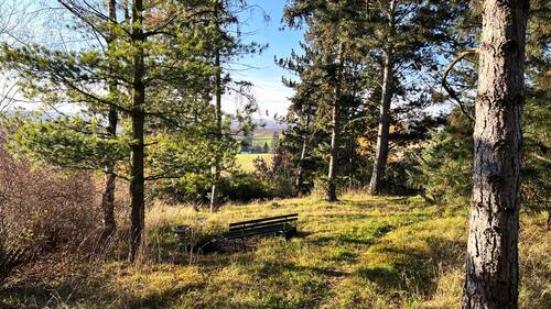 Kleiner Wald mit Bank zum ausruhen - 