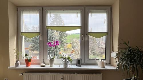 Wohnzimmer mit schöner Aussicht - Etagenwohnung mit 79,00 m&sup2; in Altmittweida zur Miete