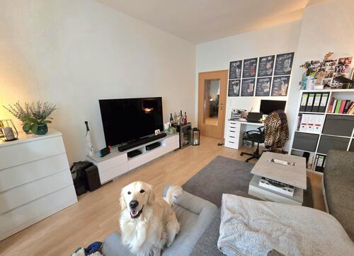 Wohnzimmer - 3 Zimmer Erdgeschoßwohnung zum Kaufen in Chemnitz