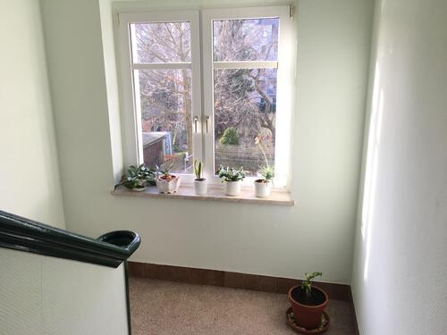 gepflegtes Treppenhaus - 