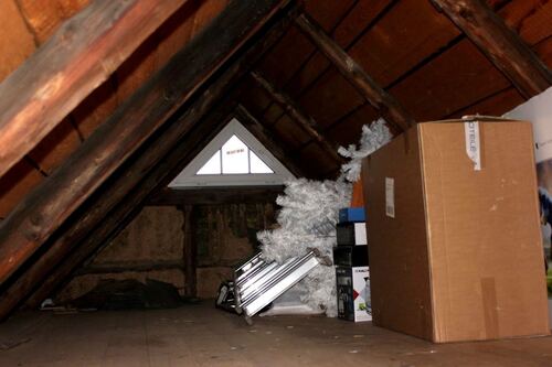Dachspitz - 