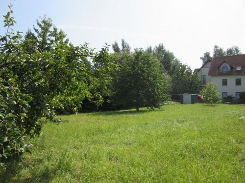 Blick auf Grundstück - Grundstück zum Kaufen in Erlau