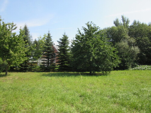 Baugrundstück - Grundstück zum Kaufen in Erlau