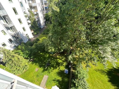 Blick in den Garten - 