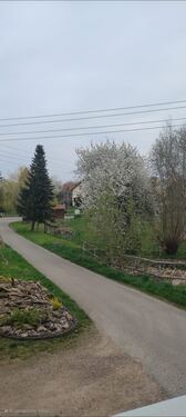 Zufahrt - 