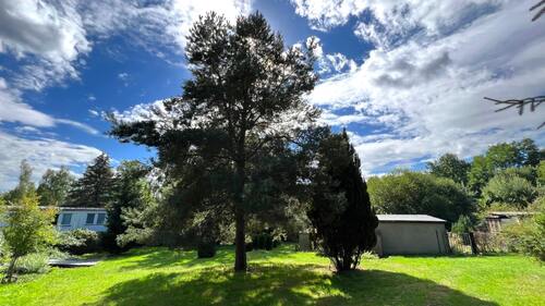 Grundstück - Grundstück in Mittweida zum Kaufen