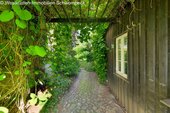 Laubengang - 