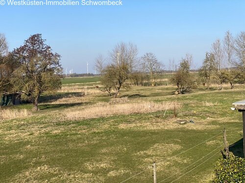 Lama Weide - 