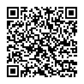 QR-Code - 