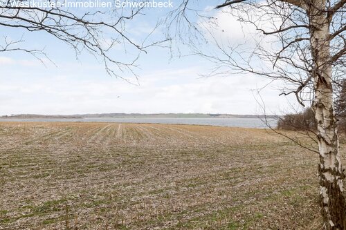 Meerblick - 