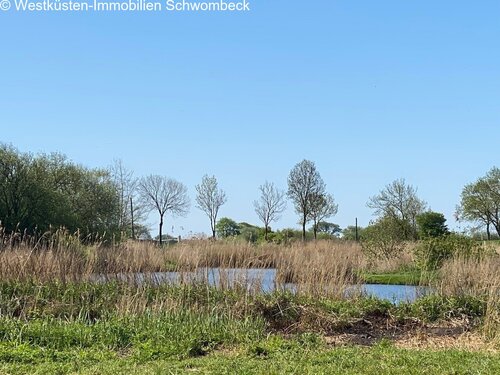 Naturnahes Grundstück am Wehl und ausreichend Platz für Pferde und Tiere - 