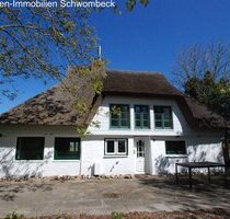 2 schöne Ferienhäuser in Nordseenähe! - Nordermeldorf