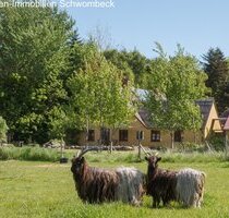 Wunderschönes Resthof auf der Insel Ærø in Dänemark! - Marstal Südjütland [Sonderjylland]