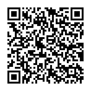 QR-Code - 
