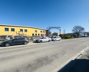 ideal für Speditionsbetriebe - Gewerbegrundstück mit Bestandshalle und Freifläche - Neu-Ulm