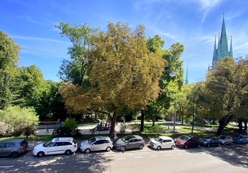 Blick Richtung Park - 