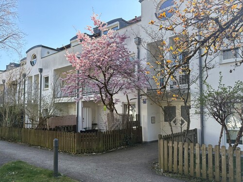 hintere Terrasse - 