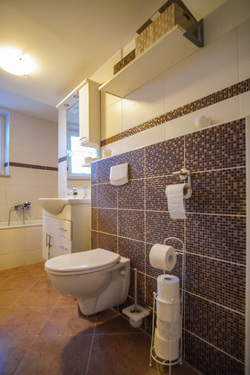 EG Anbau - Badezimmer - 