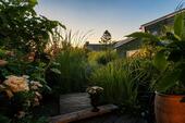 Gartenidylle bei Sonnenuntergang - 