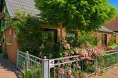 Floraler Vordergarten - 