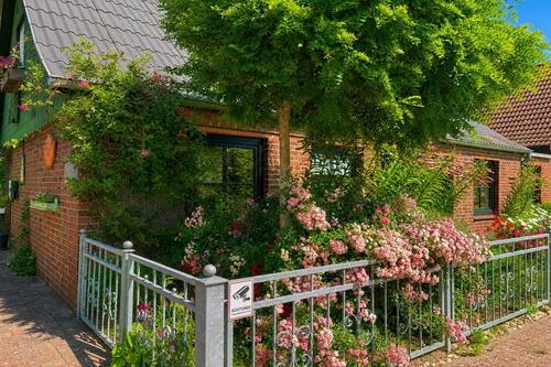 Floraler Vordergarten - 