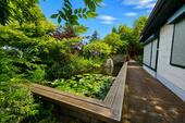 Teichblick - 