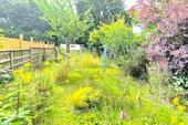 Großer Garten - 