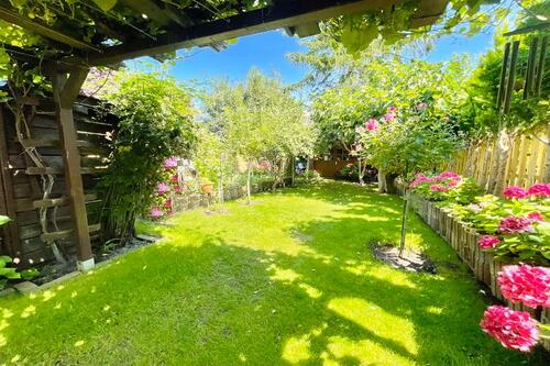Blick in den Garten - 