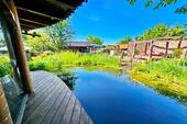 Schwimmteich - 