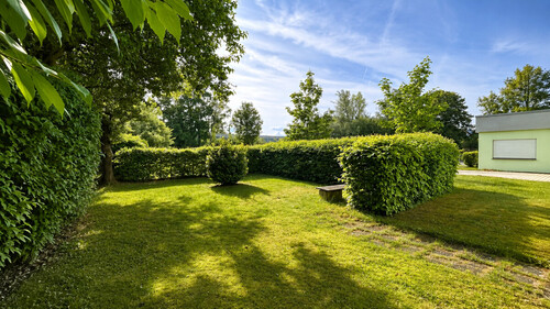 Gemeinschaftsgarten - 