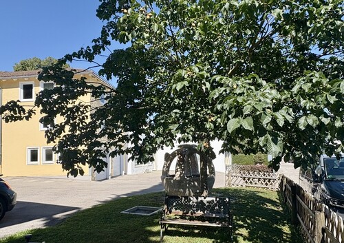 Innenhof - 