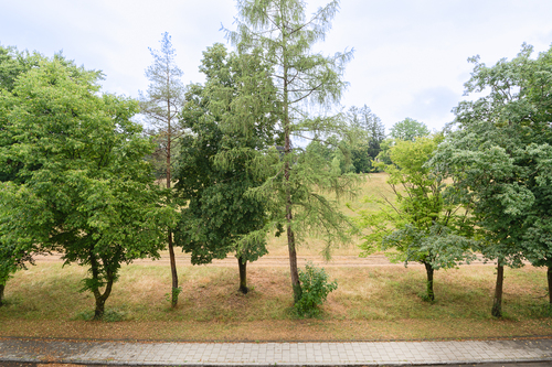 Blick auf die Straße - 