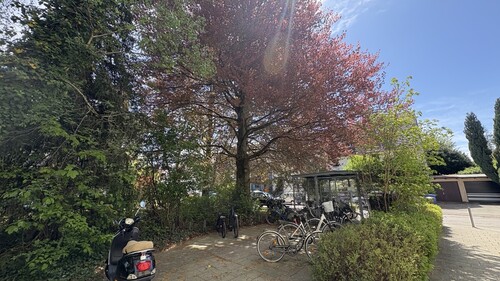 Fahrradstellplätze - Mehrfamilienhaus, Wohnhaus mit 620,80 m&sup2; in München zum Kaufen