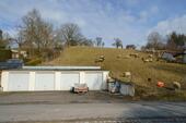 Ansicht - Baugrundstück für Einfamilienhaus mit landwirtschaftlicher Fläche
