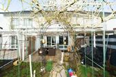 Terrasse - 4 Zimmer Reihenmittelhaus zum Kaufen in Nürnberg