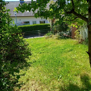 Garten - 2 Zimmer 2- Zimmerwohnung in Bad Pyrmont
