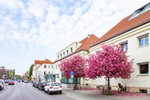 Bürgeramt - 