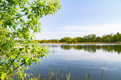 Falkenhagener_See2 - 