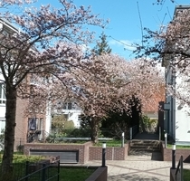 BESTE LAGE AM TELTOWKANAL! NEUBAU-MAISONETTE MIT SÜD-BALKON UND TIEFGARAGEN-STELLPLATZ!