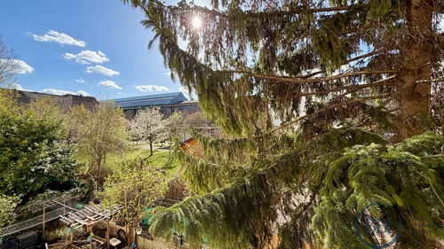 Ausblick Wohnzimmer - 