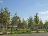 Blankensteinpark - 